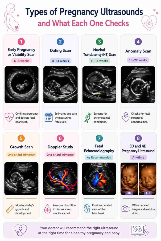 Infographic showing types of pregnancy ultrasounds with images and timelines from early pregnancy scan to 3D/4D ultrasound, highlighting what each scan checks.